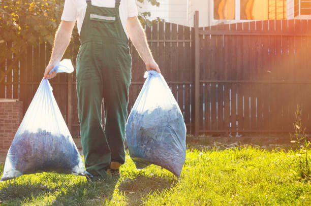 Best Furniture Removal Near Me  in Rolla, ND